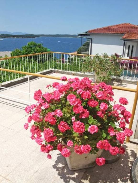 Rooms Vinka Tudor Hvar Town Exterior photo
